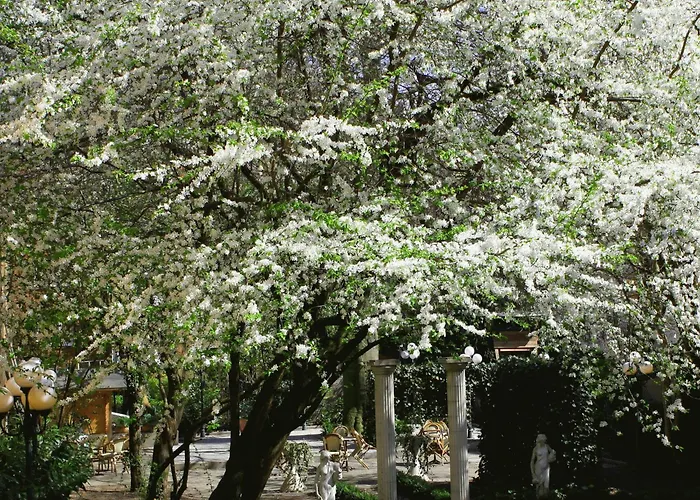 Boulevard Amburgo